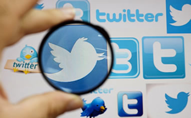 twitter-icons-magnifying-glass-twitter-bird