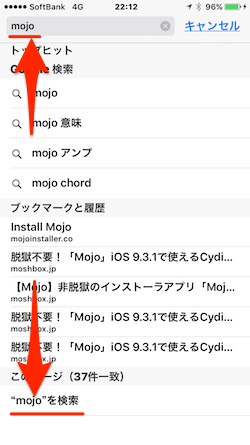 Safari_KeyWord_Search-02