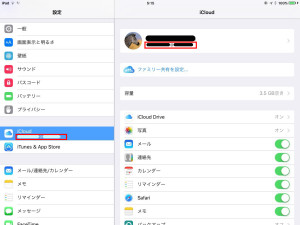 13_settei_iPad_ID