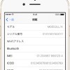 【iOS】iPhoneのIMEIおよびシリアル番号を確認する方法