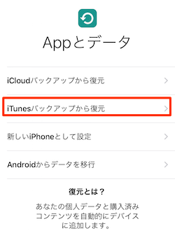 iTunes_BackUp