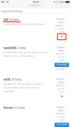 Installing_iOS_beta_on_iphone-10