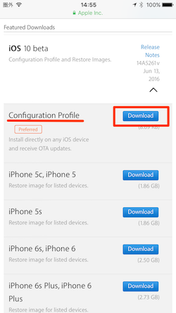 Installing_iOS_beta_on_iphone-11