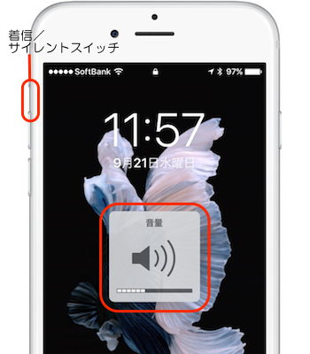 iPhone_Camera-Soundless-02