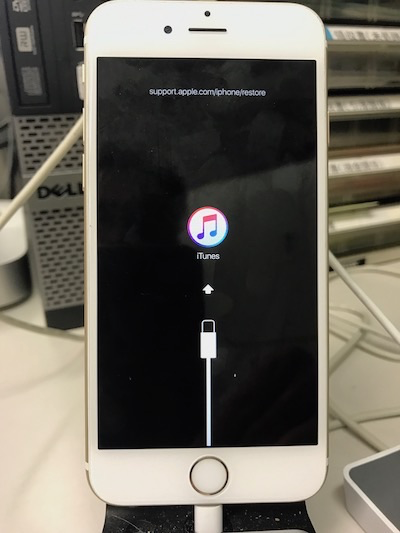 Downgrade_iOS11beta-iOS10.3.3beta-02