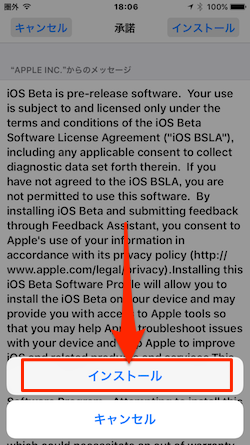 iOS11_OTA_Install-14