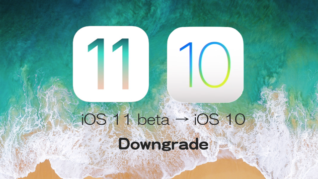 Appleのサポートページ 米国 によると Ios 11パブリックベータ版はios 10 3 3 Betaにしかダウングレードできない Moshbox