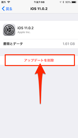 iOS-Software-Delete-04
