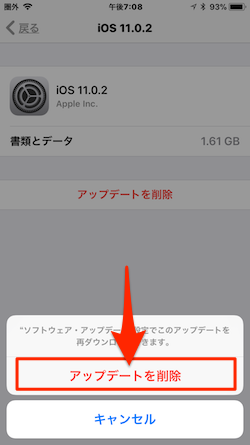 iOS-Software-Delete-05