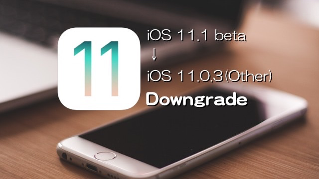 iOS111-iOS1103-Downgrade