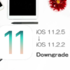 iOS 11.2.5をiOS 11.2.2（またはiOS 11.2.1、iOS 11.2）にダウングレードする方法