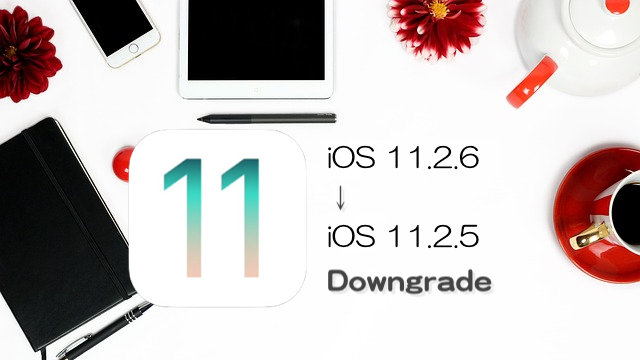 Ios 11 2 6をios 11 2 5にダウングレードする方法 Moshbox
